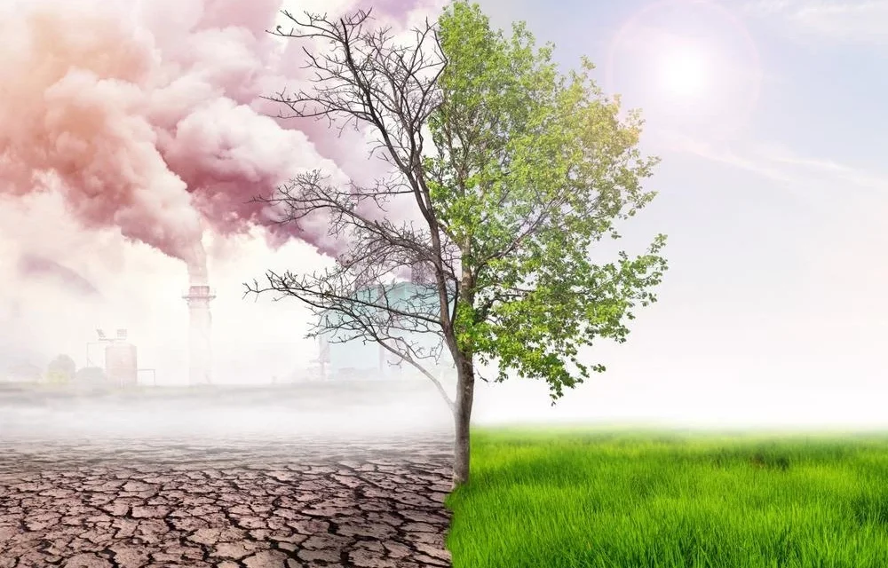 What are the ways to reduce land pollution & how to improve ?
