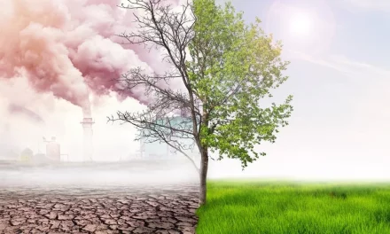 What are the ways to reduce land pollution & how to improve ?