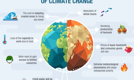 Climate- Causes and Greenhouse effects of Climate Change