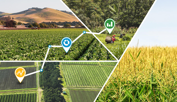 Modern Agriculture and its impact on the environment