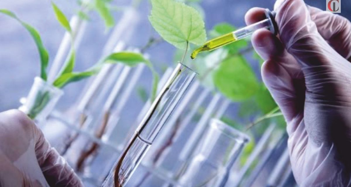 What is Biotechnology & how does it fuel  agricultural world
