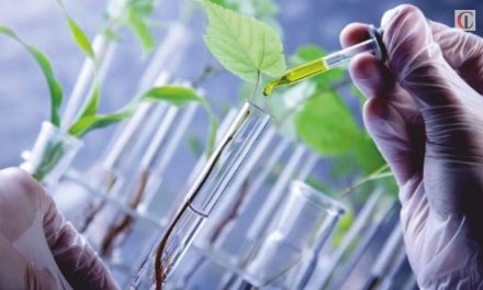 What is Biotechnology & how does it fuel  agricultural world
