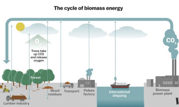 What is Biomass energy ? What are the different types ?