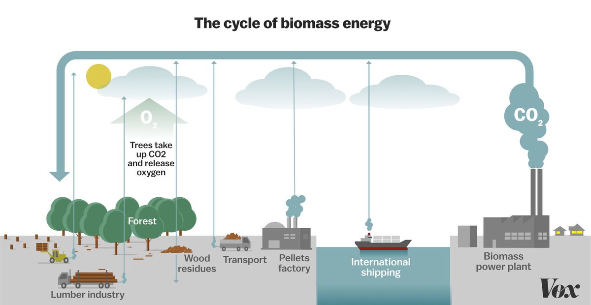 What is Biomass energy ? What are the different types ?