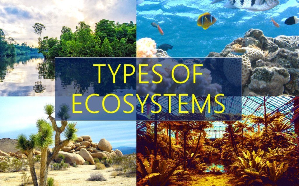 Ecosystems- threats, functions, biotics & abiotic components