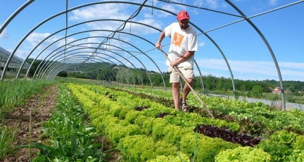 How to create an organic farm and how is it profitable ?