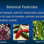 Botanical Pesticides- Definition, mode of action, production