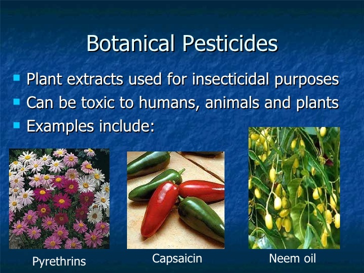 Botanical Pesticides- Definition, mode of action, production