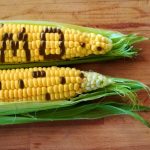 Genetically Modified (GM) Foods and social safety concerns .