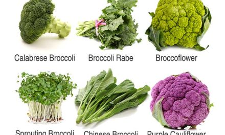 Why broccoli is so important for health & is it safe to eat?