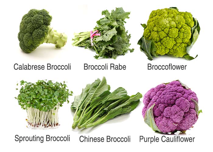 Why broccoli is so important for health & is it safe to eat?