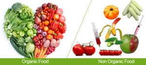 Nowadays, What Is the Definition of Organic Food?