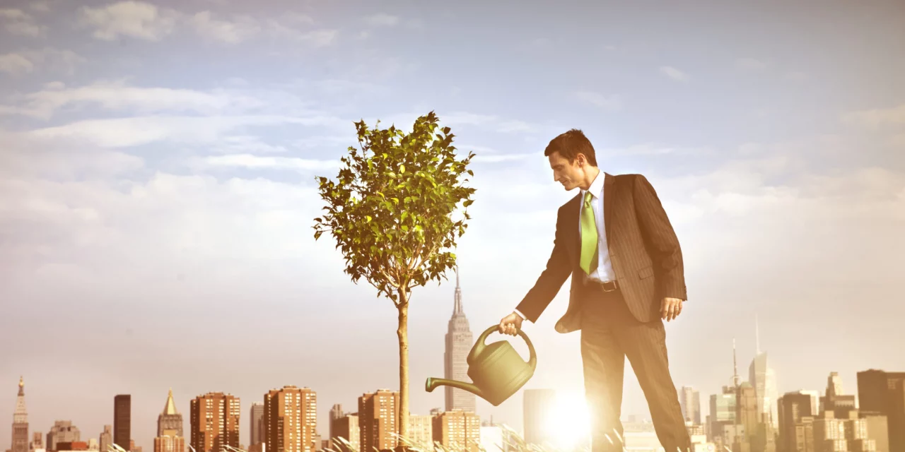 How you put together business and learnings running so far ?