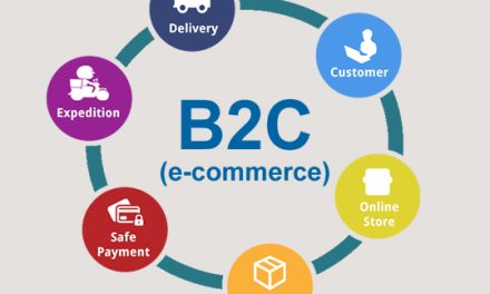 What are the E-commerce types and its illustrations ?