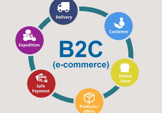 What are the E-commerce types and its illustrations ?