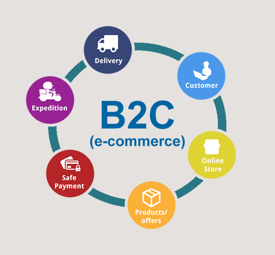 What are the E-commerce types and its illustrations ?