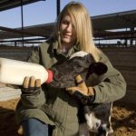 3 Common Animal Nutritionist’s Related Interview Questions (Part-2)