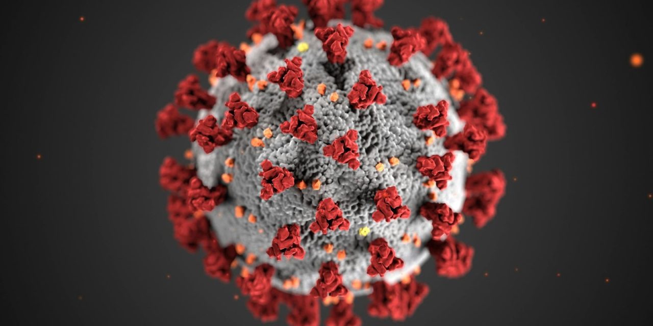 Alberta Surpasses U.S. in Measles Cases: A Wake-Up Call for Public Health