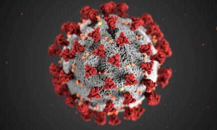 Alberta Surpasses U.S. in Measles Cases: A Wake-Up Call for Public Health